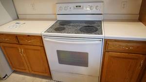 lot 1B image: Amana Even Air Convection Oven