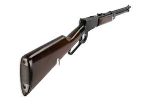 Savage Arms .22
