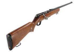 Springfield .22 Rifle