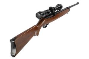 Ruger 1022 Carbine