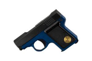 Wilkinson Arms .22 Pistol