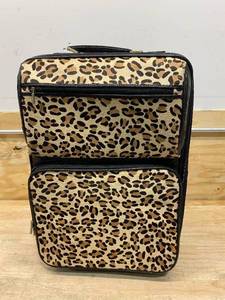 lot 103 image: THE FIND Carry-on Luggage Bag