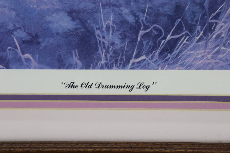 The Old Dominion Log by Gary Moss