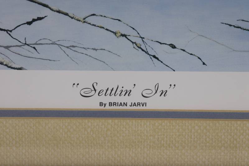 Settlin In by Brian Jarvi