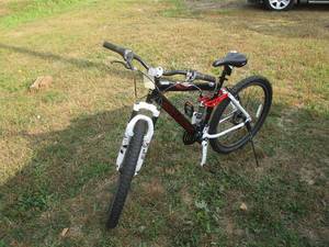 lot 4 image: GENESIS V2100