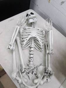 lot 167 image: joyin pose and play life size skele...