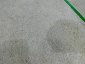 Alpe silver 24 in. x 24 in. x 0.75 in. Porcelain Paver