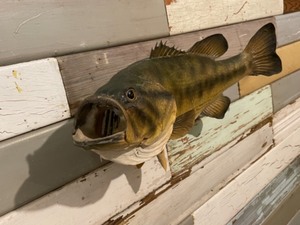 Bass Mount