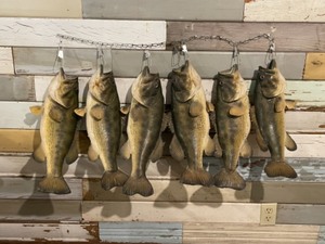 String of Bass Mount