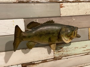 Bass Mount