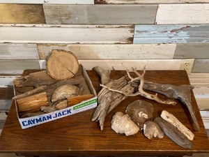 Variety of Driftwood