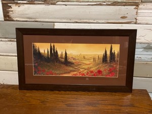 Framed Pictures