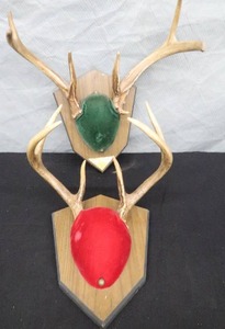 lot 18 image: DEER HORNS
