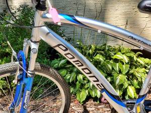 lot 23 image: Adult Northwoods Aluminum Pomona Road Bike