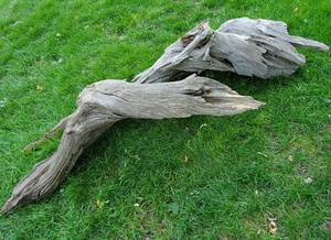 lot 137 image: 6ft Long Driftwood Rock Garden Decor