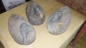 lot 22 image: (3) Vintage Cork Duck Decoys