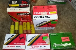 lot 47 image: 20 Gauge Shotgun shells. (15) slug, (25) 8 Shot, (6) 7.5 Shot