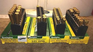 lot 162 image: (24) Ammo Variety.  25-06 (11), 243 (3) 223 (4), 22-250. (6).