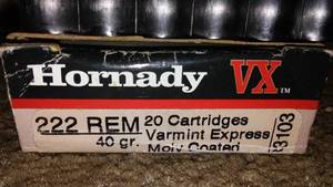lot 166 image: Hornady 222. Qty. 10.