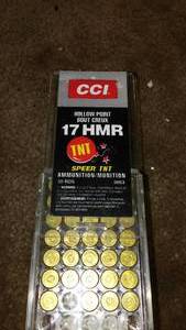 lot 174 image: CCI 17HMR QTY.34.