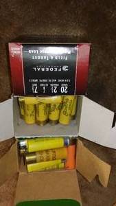 lot 180 image: 20 ga Shotgun shells about 70 shells