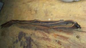 lot 576 image: Gun sling strap leather adjustable