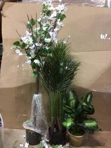 4 ft. Dogwood Tree Customer Returns See Pictures