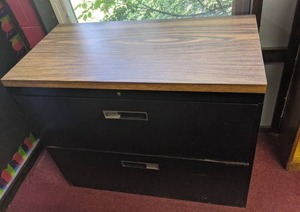 lot 135 image: Set of (2) File Cabinets