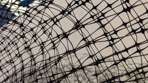 lot 216 image: Lot of Plastic Wire Fencing-3 Rolls