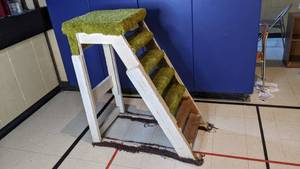 lot 205 image: Carpeted Moveable Staircase