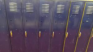 lot 212 image: Lot of (18) Lockers