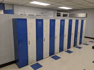 lot 306 image: Wall of (14) Lockers