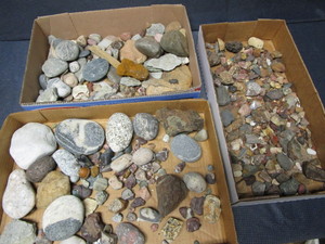 lot 256 image: Collectible Rocks