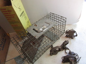 lot 318 image: Traps
