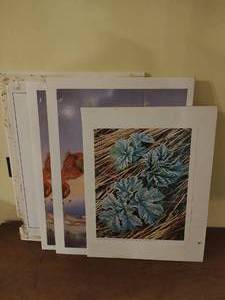 Collection of Prints on Foam Backing