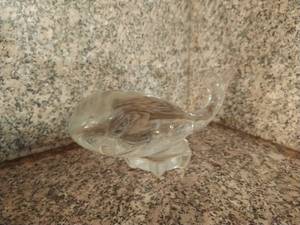 Glass Whale