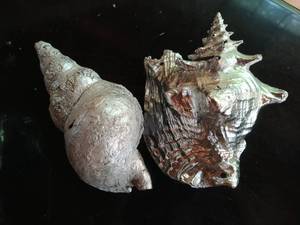 Two Metallic Shells