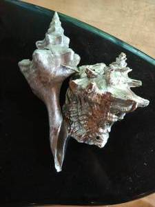 Two Metallic Shells