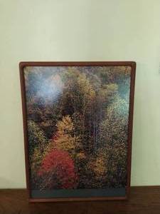 Vintage Framed Forest Print
