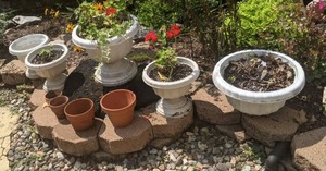 lot 336 image: Set of (9) Planters & Pots Plastic & Terracotta