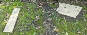 lot 337 image: Set of (2) Flagstone Pieces