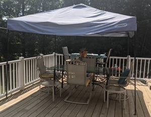 lot 344 image: First-Up 10 x 10 Canopy