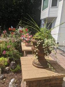 lot 325 image: Set of (3) Beautiful Planters with Plants & Flowers