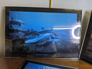 lot 269 image: Lot of 3 Dolphin Poster Prints