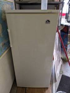 lot 204 image: Igloo Freezer