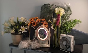 lot 177 image: Ironing Board, Small Fan, Vanity Mirror, Silk Flowers, & More