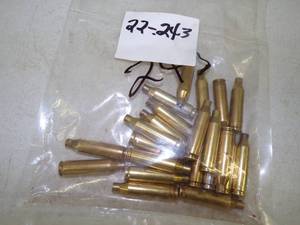lot 123 image: 22 Polish Brass 243.  Ammunition Cases