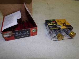 lot 41 image: 10 - 12 GA Ammunition