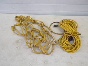 lot 98 image: Pair of Extension Cords