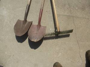 lot 39 image: Shovels & Garden Tools
